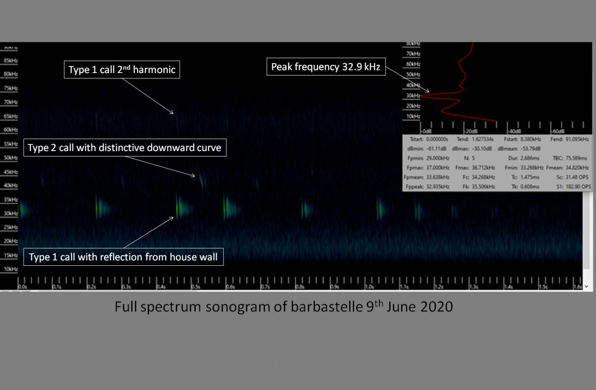 FS sonogram