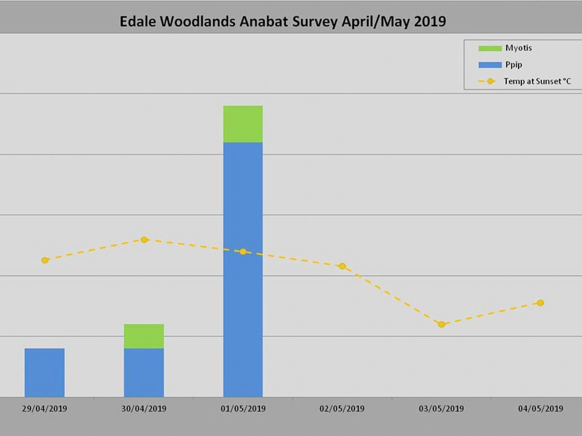 Edale woodlands survey