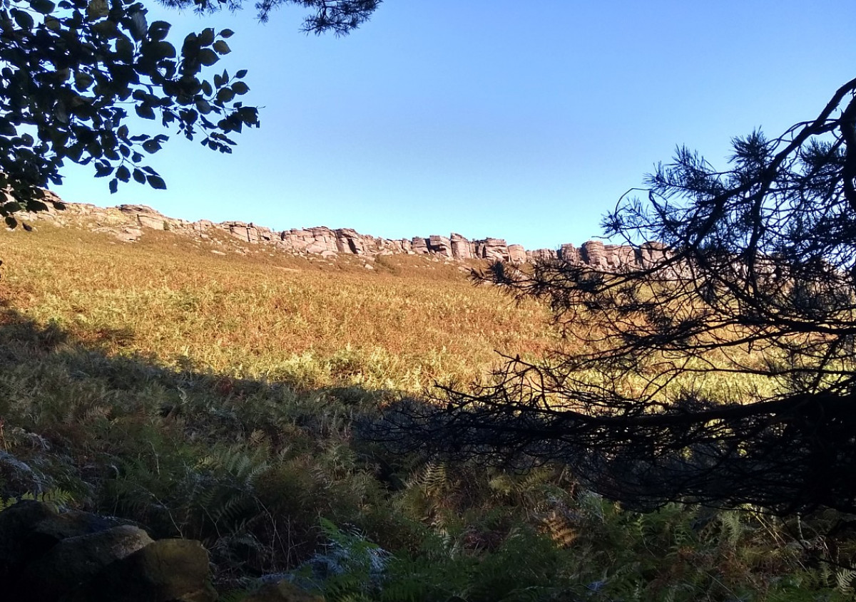 Stanage plantation