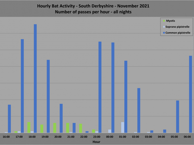 Winter Bat Activity Survey 2021/22