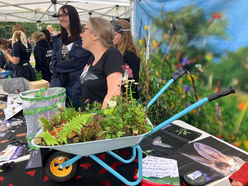 Hen Harrier Day 2024